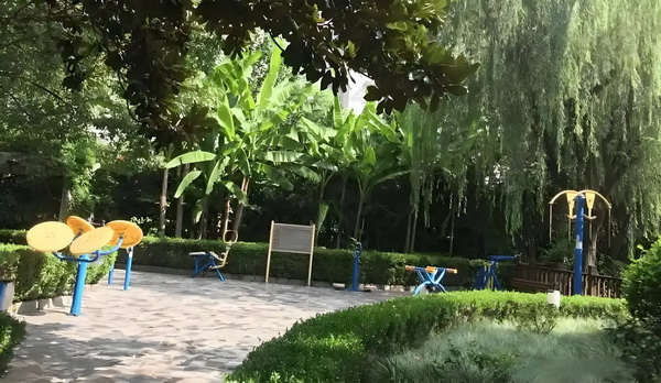 怎么样才能成为深户_杨洋新剧《凡人修仙传》首播4集，口碑出炉，观众评价一针见血 人修仙传首同时与此