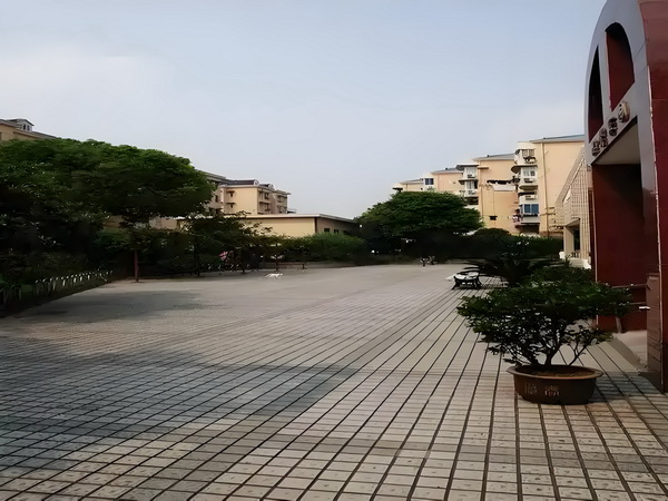 深圳大专落户政策_《你行！你上！》：弹琴吧！爸爸 代父随后其女开始刘畅出征